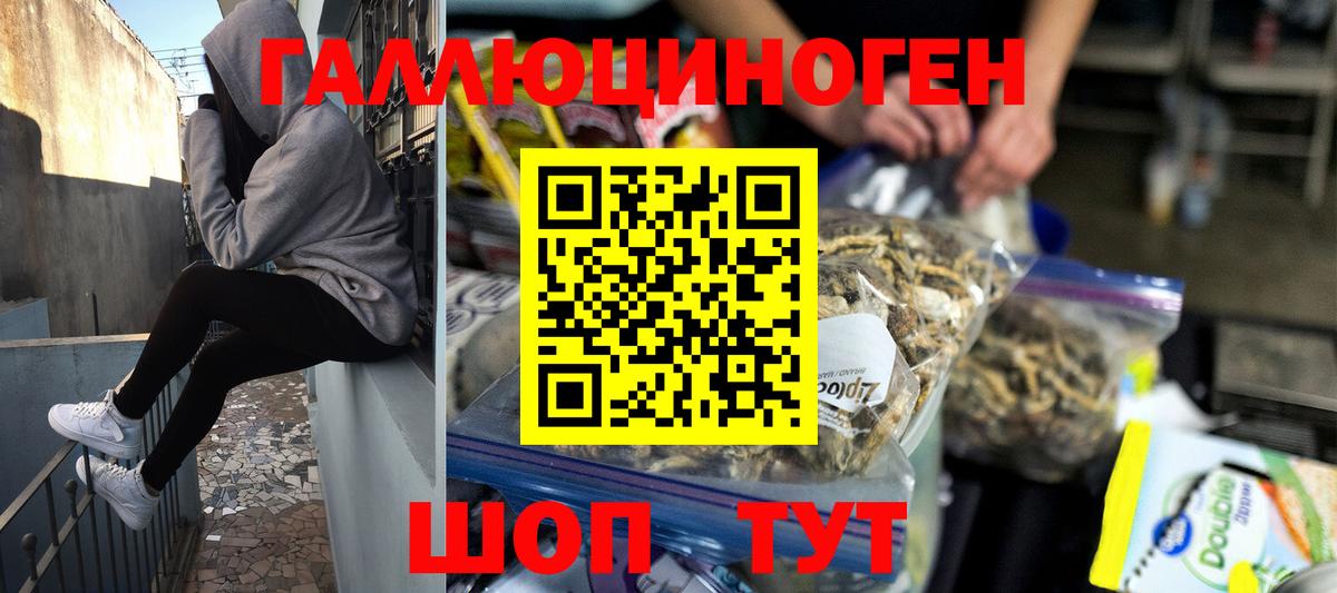 Псилоцибиновые грибы мухоморы Кудымкар