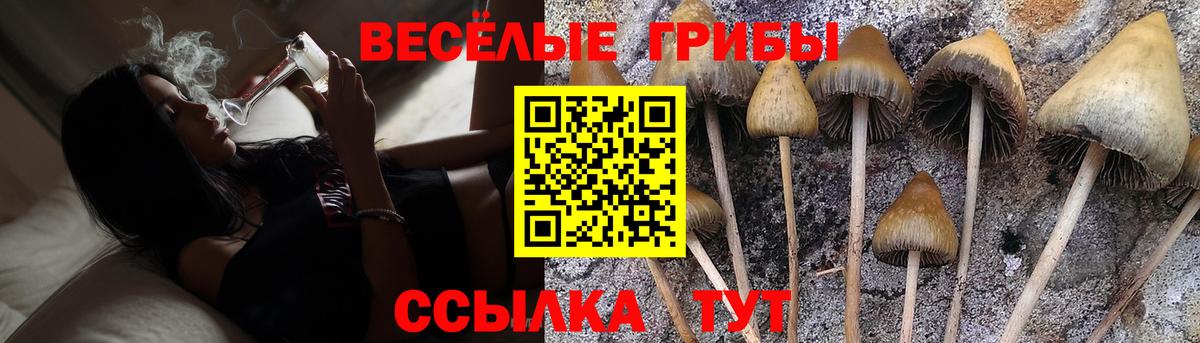 Псилоцибиновые грибы прущие грибы  Вход с VPN  Кудымкар 